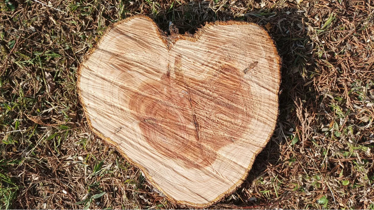 O Segredo da Madeira Teca | Por que ela é a melhor aliada do seu churrasco?